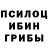 Галлюциногенные грибы Psilocybe MEILZ