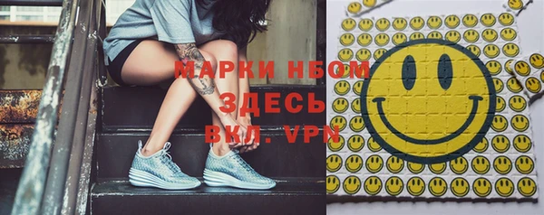 apvp Алзамай