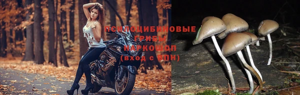 прущая мука Абинск