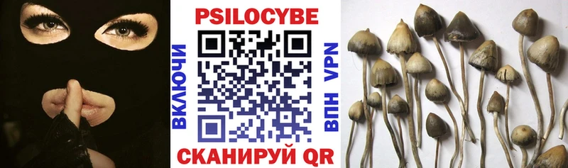 Галлюциногенные грибы мицелий  закладка  Нижняя Салда 